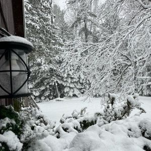 Meet your Posher, Sheila